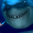 Team Nemo - Bruce The Shark